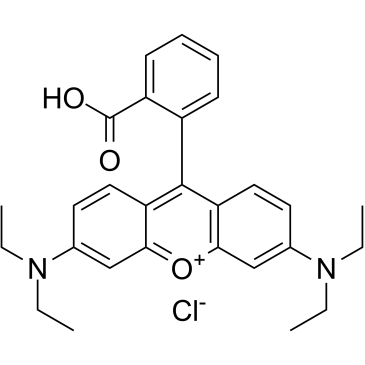 Rhodamine B图片