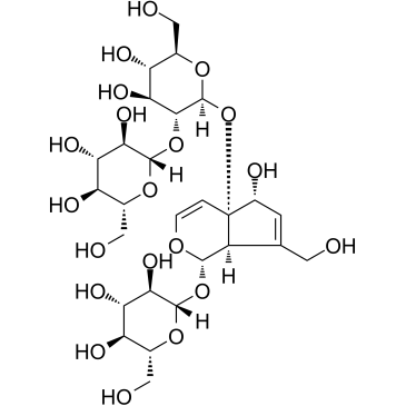 Rehmannioside DͼƬ