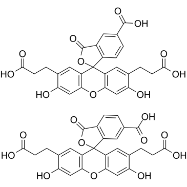 BCECF(2',7'-Bis(2-carboxyethyl)-5(6)-carboxyfluorescein)ͼƬ