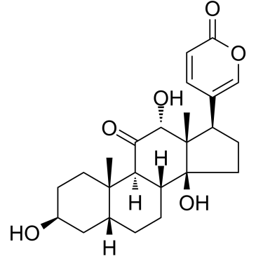 Pseudobufarenogin(ψ-Bufarenogin)图片