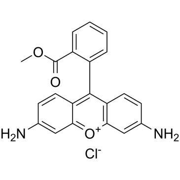 Rhodamine 123(R-22420RH-123)ͼƬ