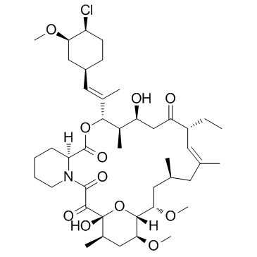 Pimecrolimus(SDZ-ASM 981)图片