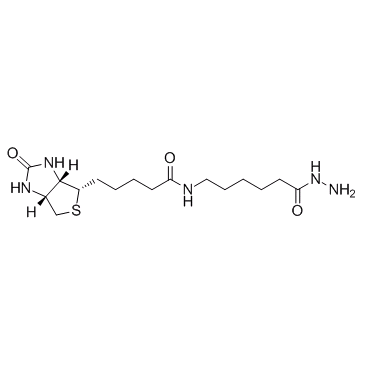 Biotin LC hydrazide(Biotinamidocaproyl hydrazideBACHBiotin Aminocaproyl Hydrazide)[CAS109276-34-8]ͼƬ