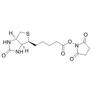 Biotin NHS(Biotin-NHSBiotin N-hydroxysuccinimide esterNHS-Biotin)图片