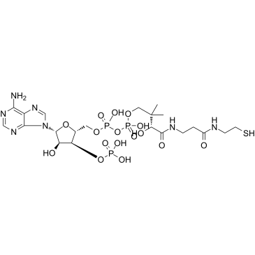 Coenzyme AͼƬ