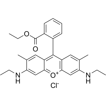 Rhodamine 6G(Basic Red 1)ͼƬ