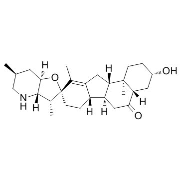 Peimisine(Ebeiensine)ͼƬ