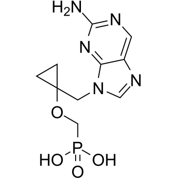 Besifovir(LB80331)ͼƬ