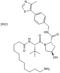 VH 032 amide-alkylC10-amineͼƬ