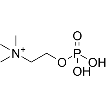 PhosphorylcholineͼƬ