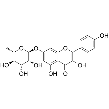 Kaempferol-7-O-rhamnosideͼƬ