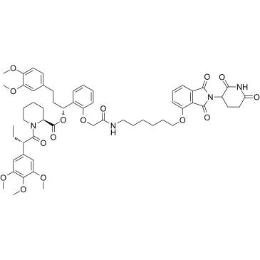 FKBP12 PROTAC dTAG-13ͼƬ