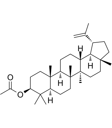 Lupeol acetateͼƬ