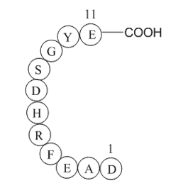 Beta-Amyloid(1-11)ͼƬ