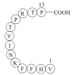 Myelin Basic Protein(87-99)ͼƬ