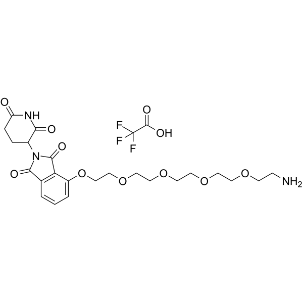 Thalidomide-O-PEG4-amine TFAͼƬ
