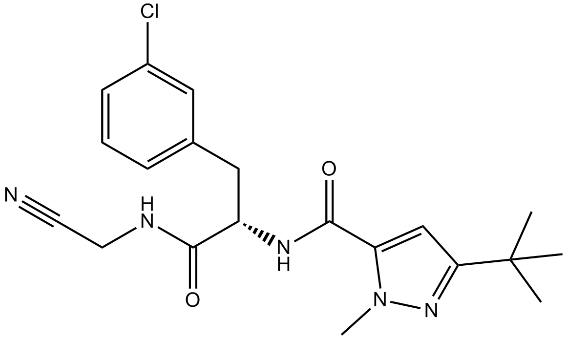 Cathepsin Inhibitor 1ͼƬ