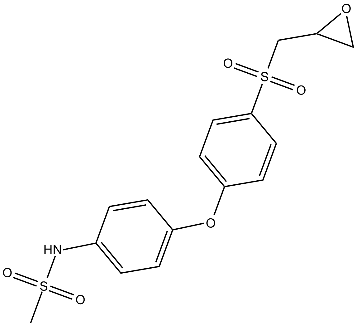 MMP-2 Inhibitor IIͼƬ