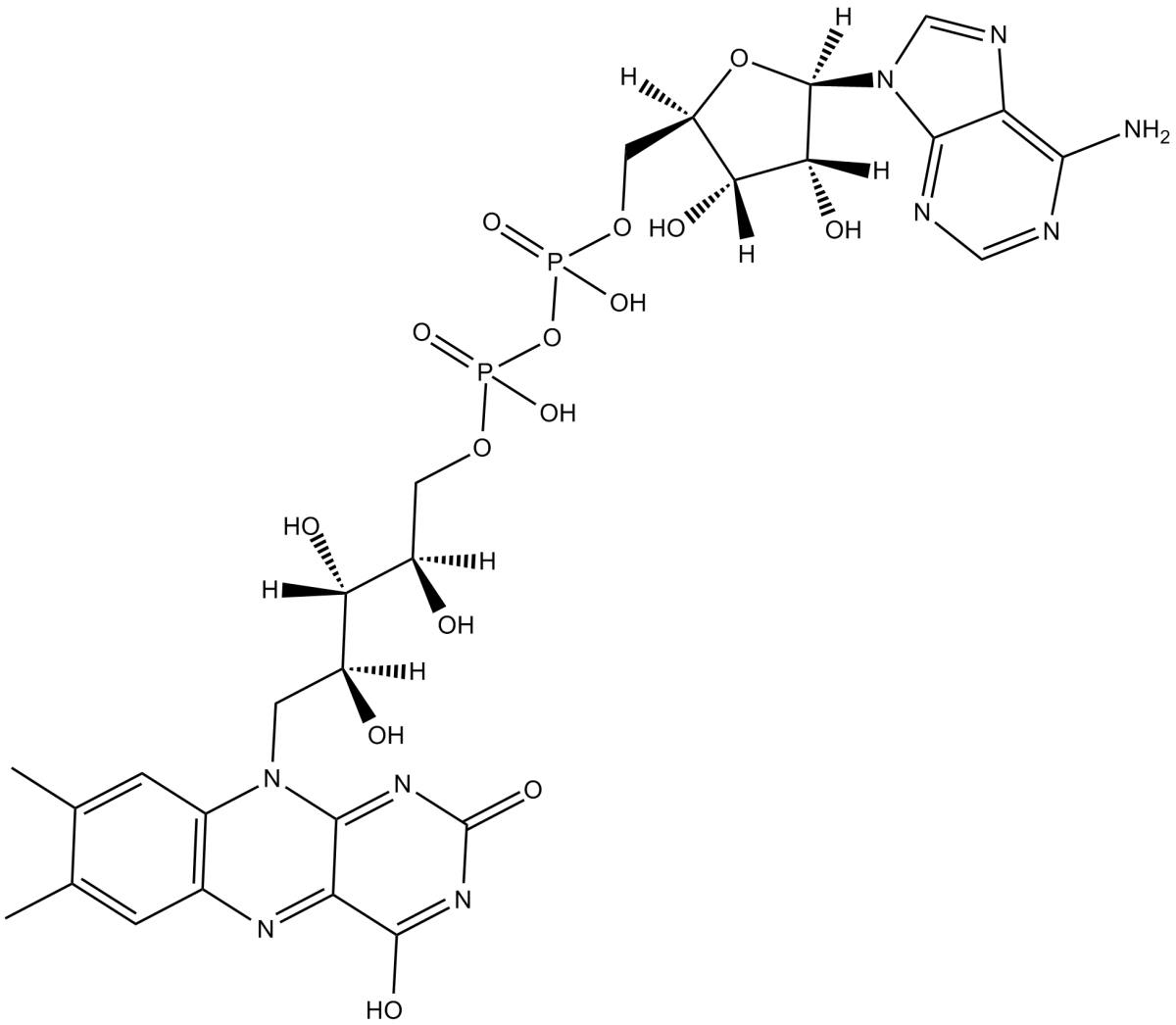 Flavin adenine dinucleotideͼƬ