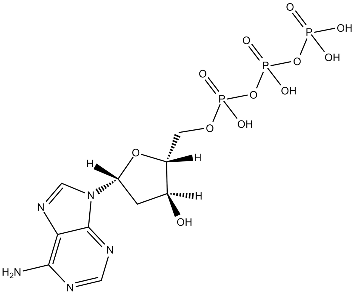 Deoxyadenosine 5-triphosphateͼƬ