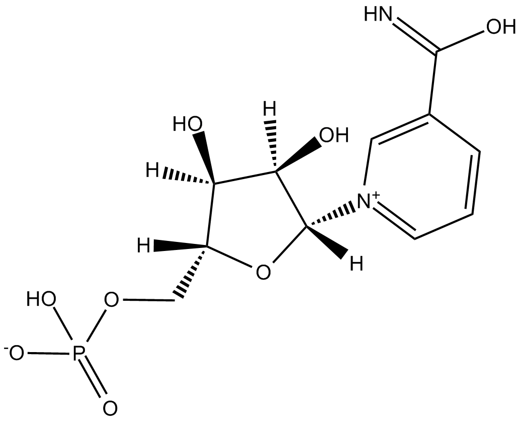 -Nicotinamide mononucleotideͼƬ