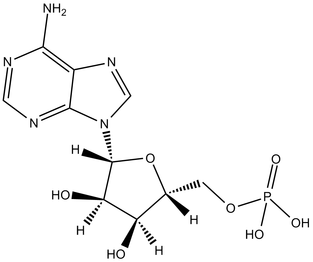 Adenosine 5-monophosphateͼƬ