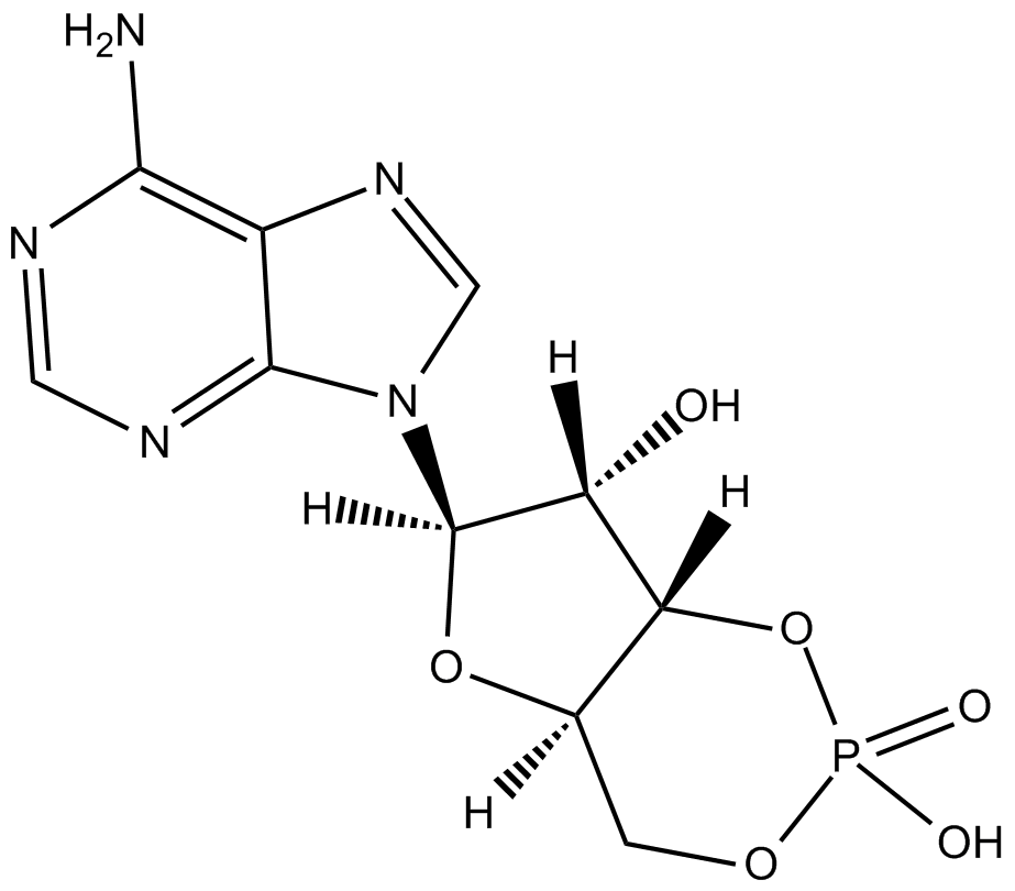 Adenosine 3-5-cyclic monophosphateͼƬ