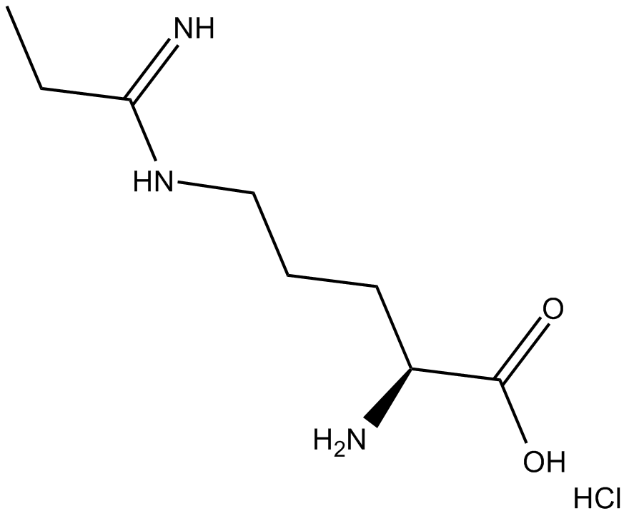 Methyl-L-NIO(hydrochloride)ͼƬ