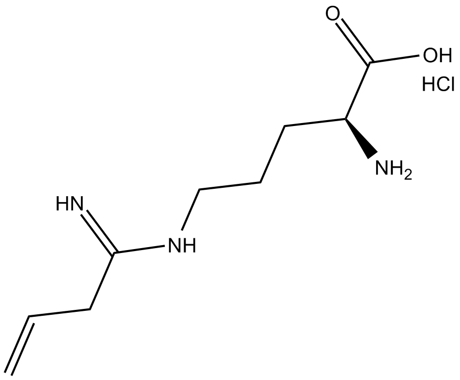 Vinyl-L-NIO(hydrochloride)ͼƬ