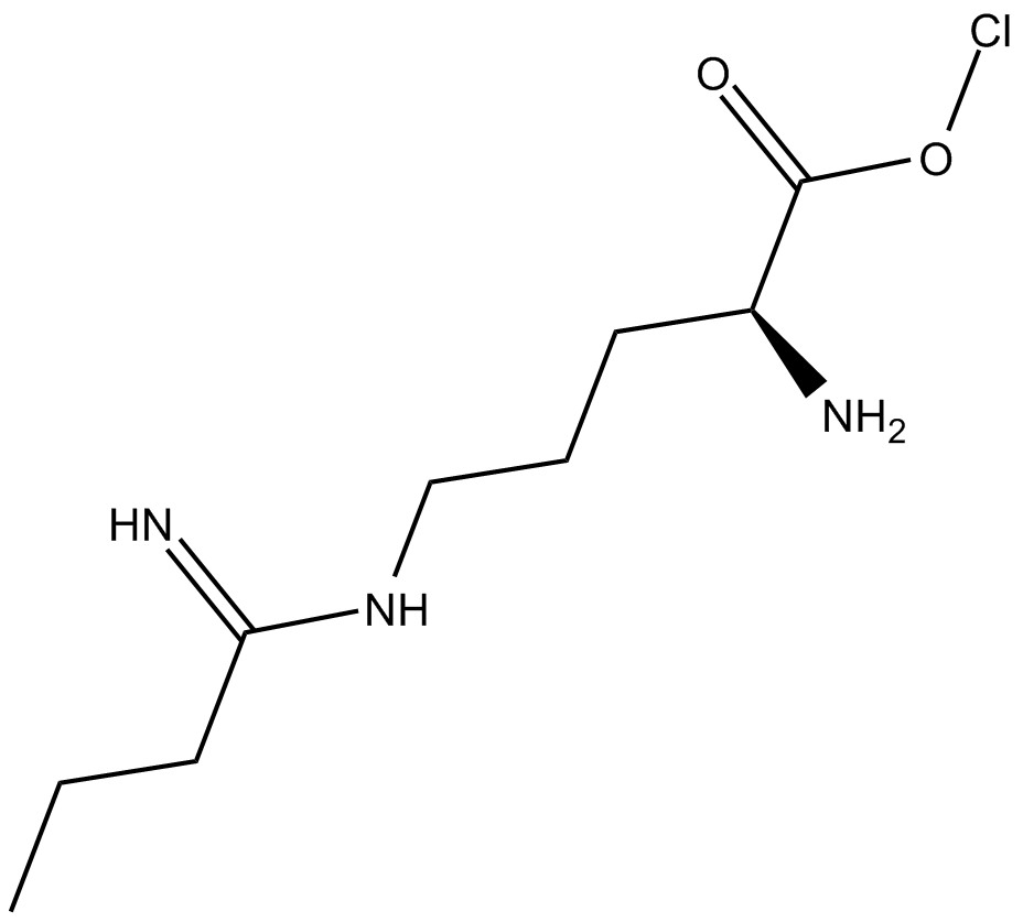 Ethyl-L-NIO(hydrochloride)ͼƬ