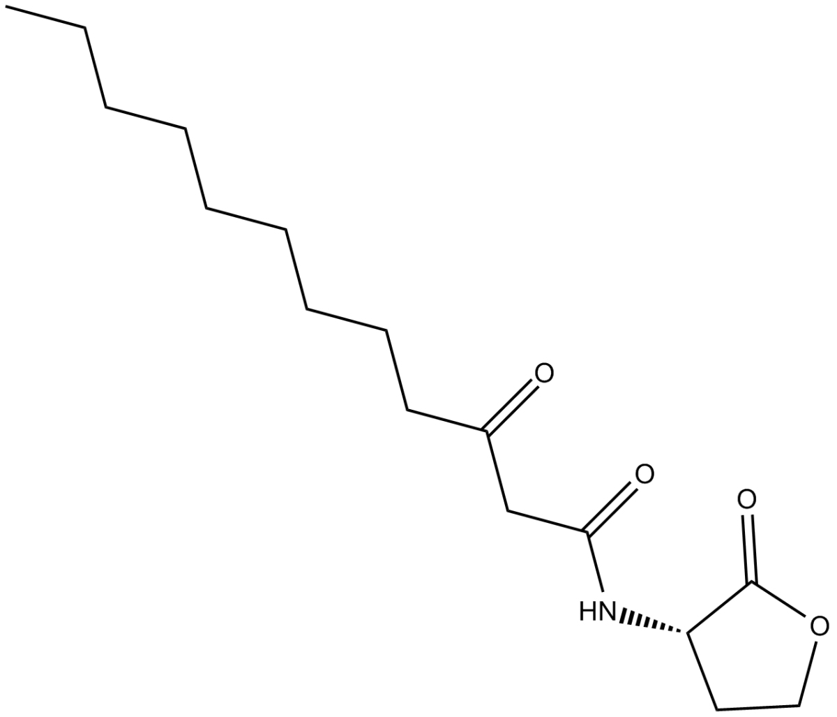 N-3-oxo-dodecanoyl-L-Homoserine lactoneͼƬ