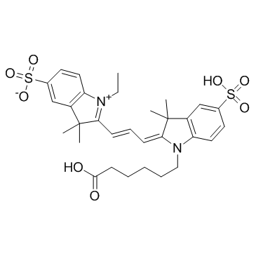 Zy3 carboxylic acidͼƬ