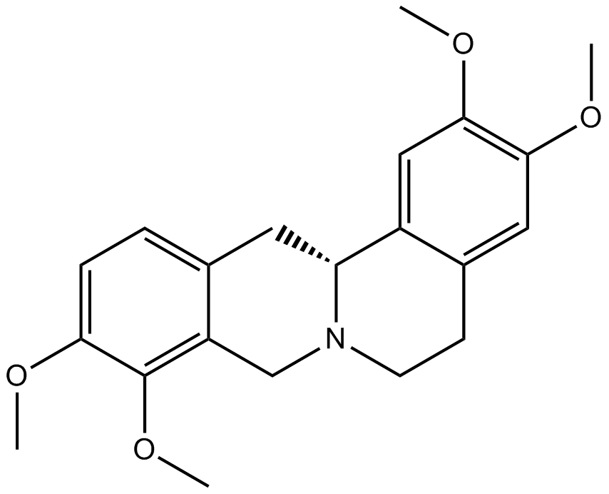 RotundineͼƬ