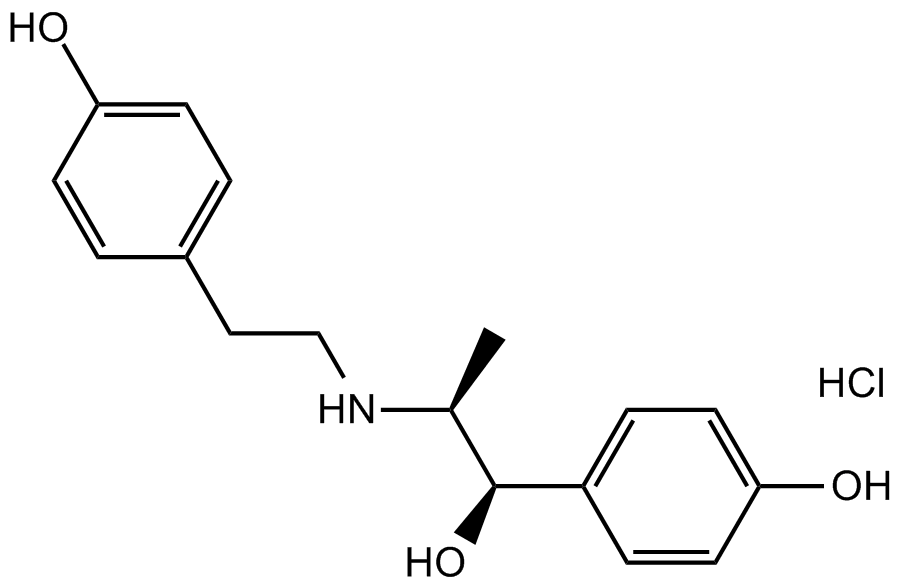 Ritodrine HCl图片