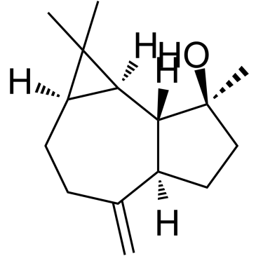 SpathulenolͼƬ