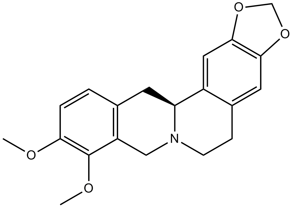 Tetrahydroberberine,THBͼƬ