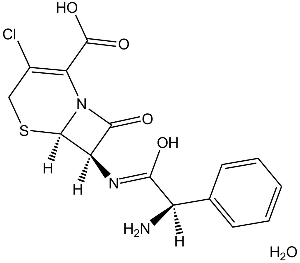 Cefaclor monohydrateͼƬ