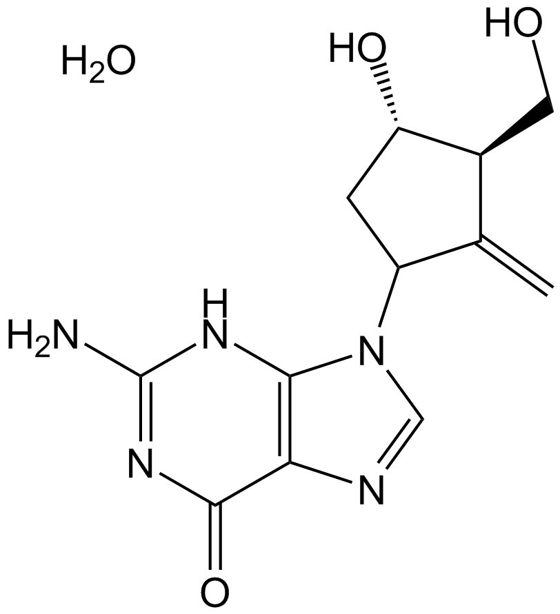 Entecavir HydrateͼƬ