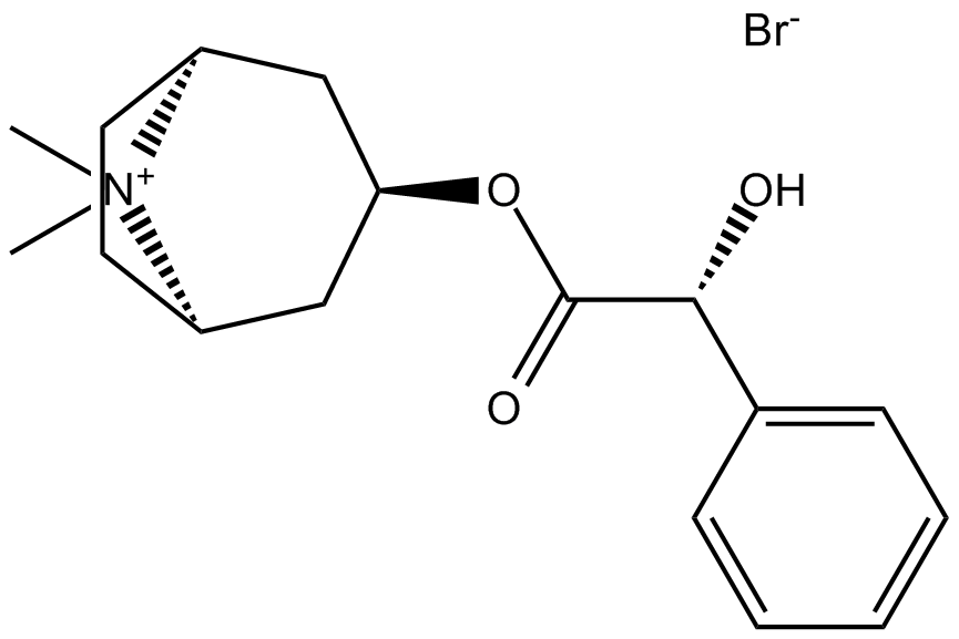 Homatropine MethylbromideͼƬ