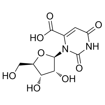 Orotidine图片