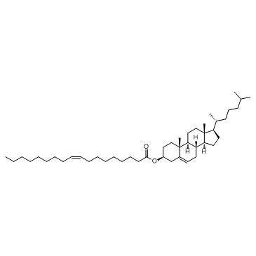 Cholesteryl oleateͼƬ