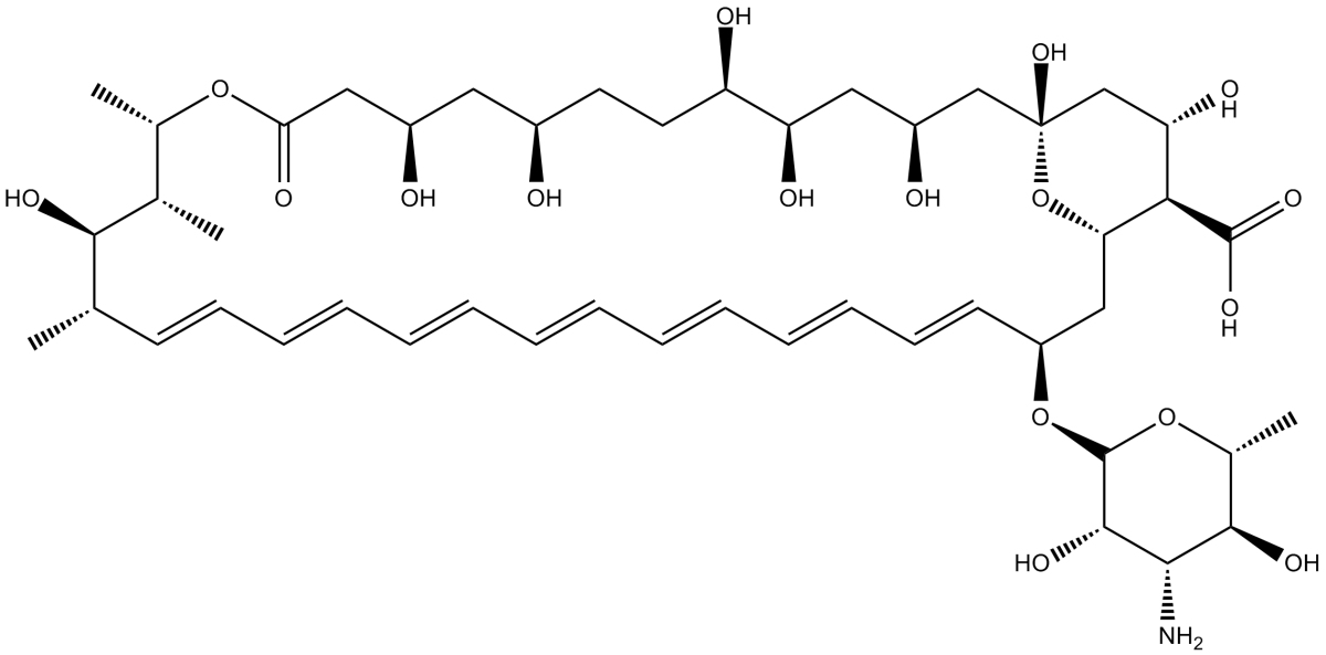 Amphotericin BͼƬ