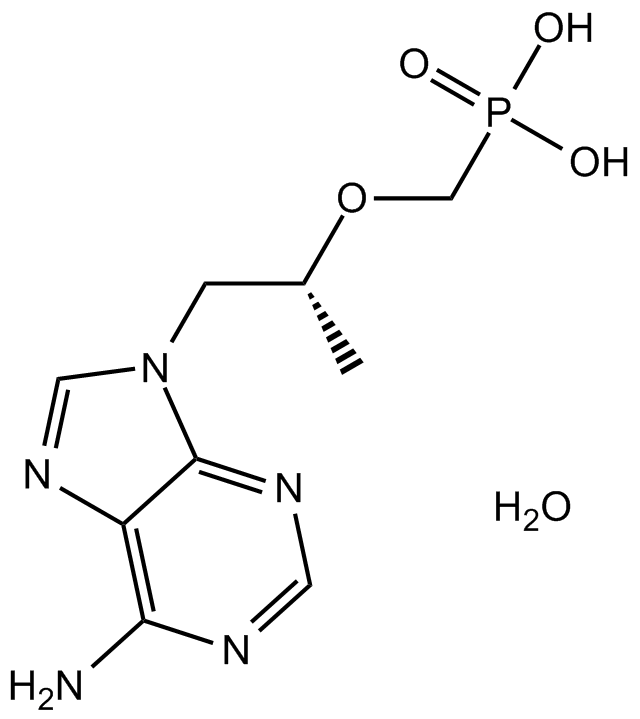 Tenofovir hydrateͼƬ