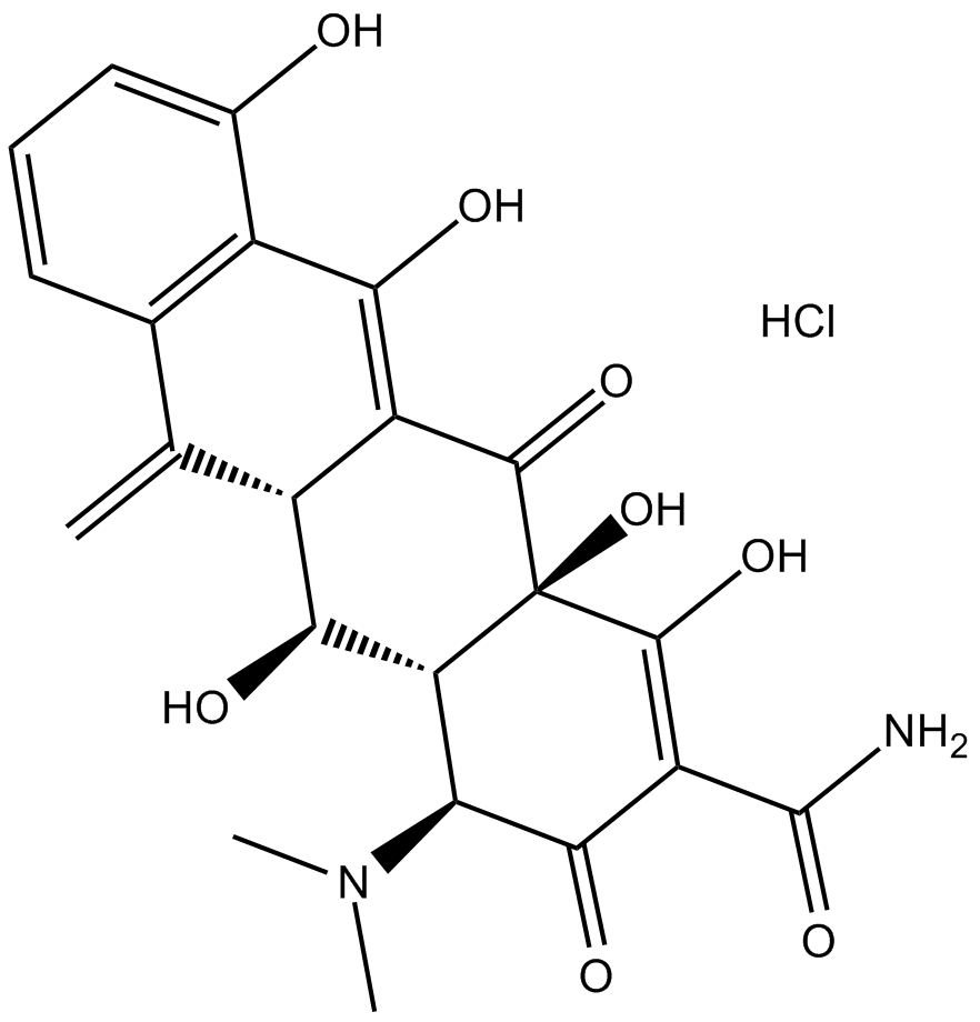 Methacycline HClͼƬ