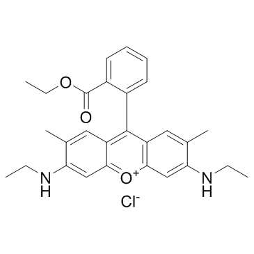 Rhodamine 6G(Basic Red 1)ͼƬ