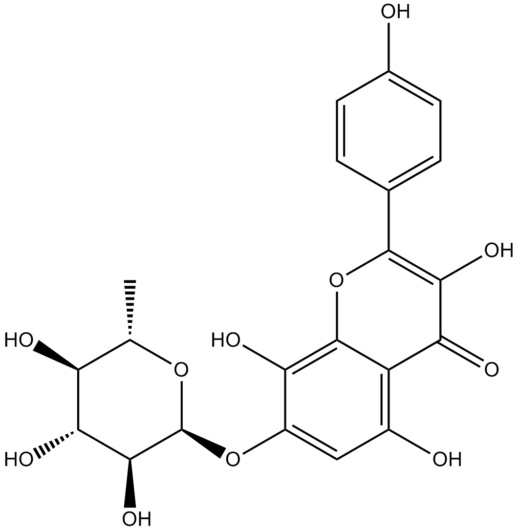 RhodioninͼƬ