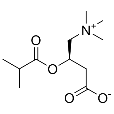 Isobutyryl-L-carnitineͼƬ