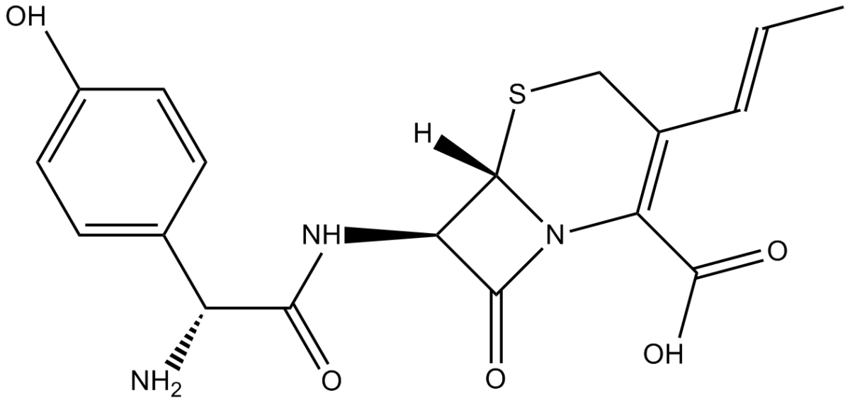 CefprozilͼƬ