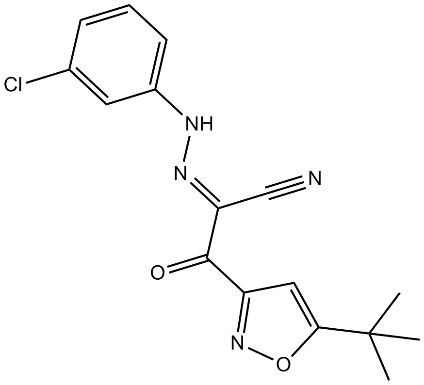 ESI-09ͼƬ