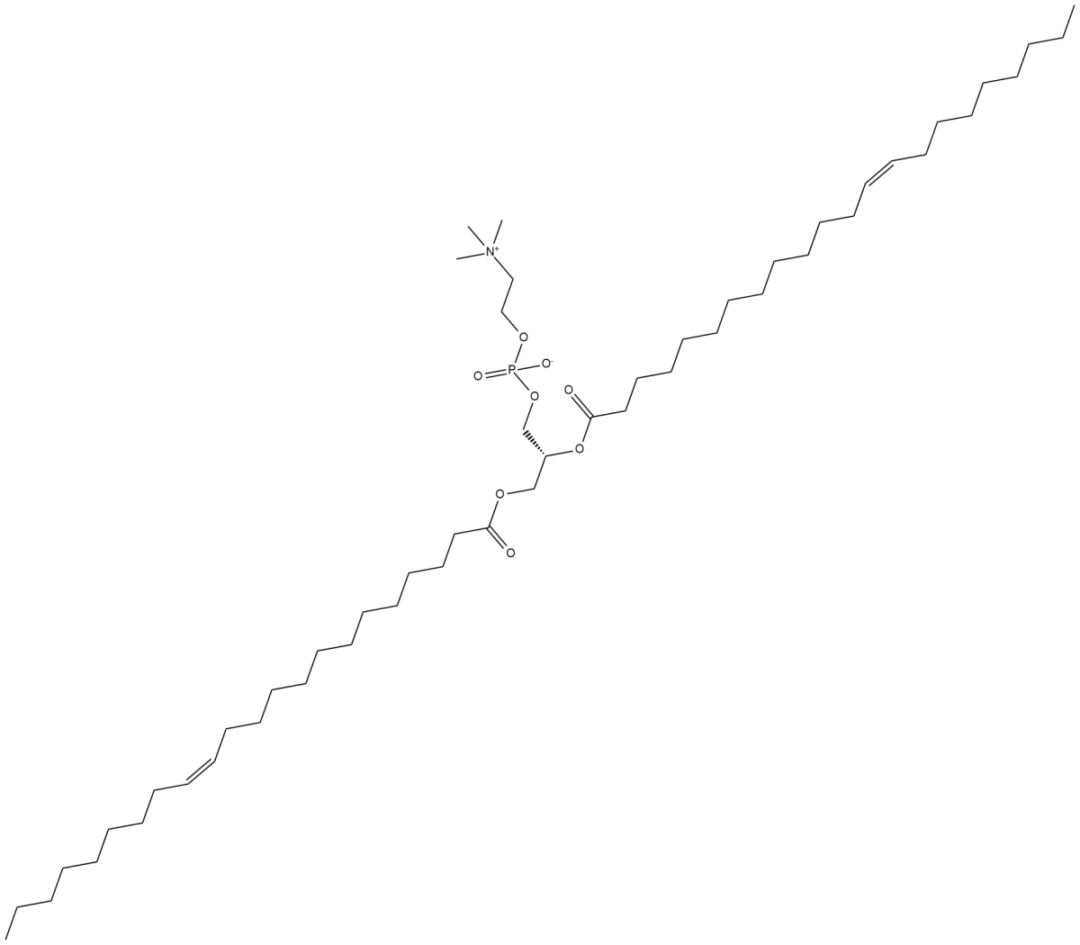 1,2-Dierucoyl-sn-glycero-3-PCͼƬ